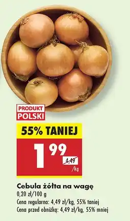 Biedronka Cebula żółta Biedronka oferta