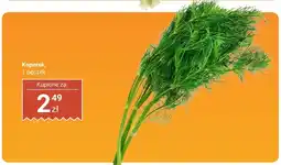 Biedronka Koperek Biedronka oferta
