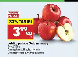 Biedronka Jabłka Gala polskie na wagę Biedronka oferta
