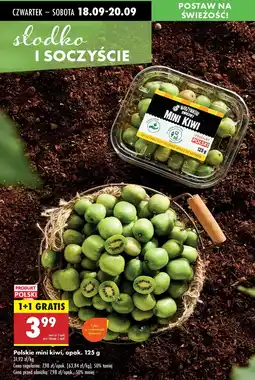 Biedronka Mini kiwi polskie Biedronka oferta