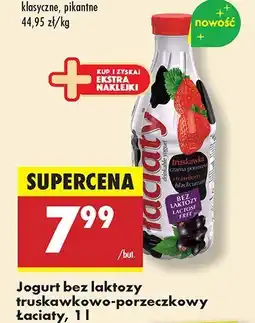 Biedronka Jogurt bez laktozy truskawkowo-porzeczkowy Łaciate oferta