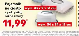 Kaufland Pojemnik na ciasto z pokrywką oferta