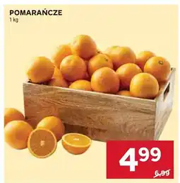Stokrotka Pomarańcze Stokrotka oferta