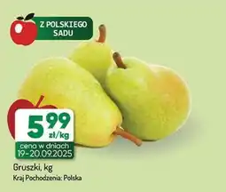 Avita Gruszki oferta