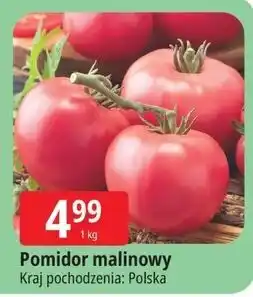 E.Leclerc Pomidory malinowe polska oferta