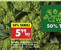 Biedronka Kalafior Romanesco Biedronka oferta