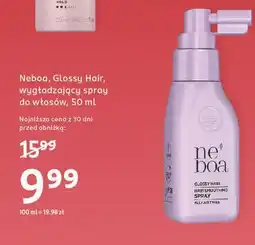 Rossmann Spray do włosów wygładzający Neboa oferta