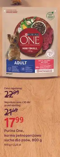 Rossmann Karma dla psa adult mini wołowina i ryż Purina One oferta