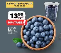 Netto Borówka Sekoya oferta