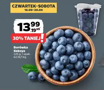 Netto Borówka Sekoya oferta