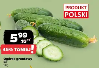 Netto Ogórek gruntowy oferta