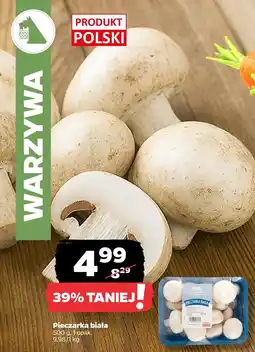 Netto Pieczarka biała oferta