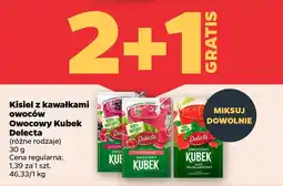 Netto Kisiel z kawałkami owoców Owocowy Kubek Delecta oferta