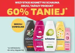 Netto Wszystkie kosmetyki schauma oferta