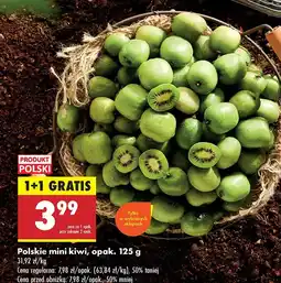 Biedronka Polskie mini kiwi Biedronka oferta