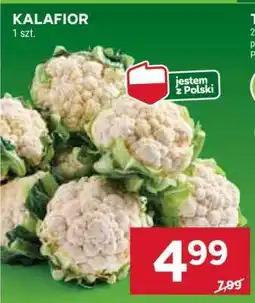 Stokrotka Market Kalafior oferta