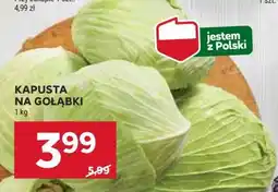 Stokrotka Market Kapusta na gołąbki oferta