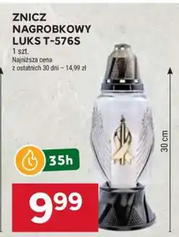 Stokrotka Market Znicz Nagrobkowy Luks T-576S oferta