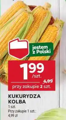 Stokrotka Market Kukurydza kolba oferta