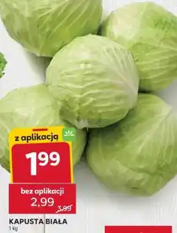 Stokrotka Market Kapusta biała oferta