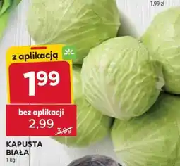 Stokrotka Market Kapusta biała oferta