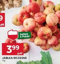 Stokrotka Market Jabłka wczesne oferta