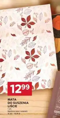 Stokrotka Market Mata do suszenia liści oferta