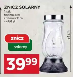 Stokrotka Market Znicz solarny oferta