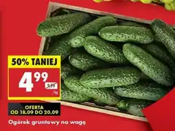 Biedronka Ogórek gruntowy na wage oferta