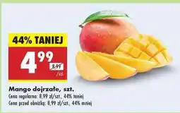 Biedronka Mango dojrzałe, szt oferta