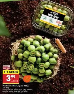 Biedronka Polskie mini kiwi opak . 125 g oferta