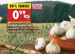 Biedronka Czosnek polski , szt oferta
