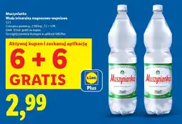 Lidl Muszynianka Woda mineralna magnezowo-wapniowa oferta