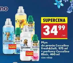 Biedronka Płyn do prania Coccolino Fresh&Soft, 975 ml + perfumy Coccolino Elixir, 460 ml oferta