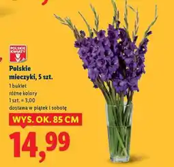 Lidl Polskie mieczyki, 5 szt oferta