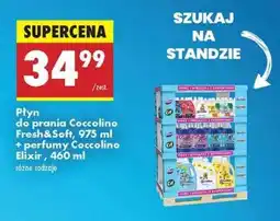 Biedronka Płyn do prania Coccolino Fresh&Soft, 975 ml + perfumy Coccolino Elixir, 460 ml oferta