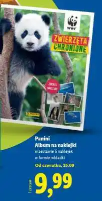 Lidl Panini Album na naklejki oferta