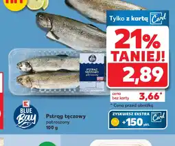 Kaufland Pstrąg tęczowy oferta
