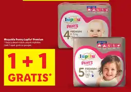 Lidl Wszystkie Pantsy Lupilu Premium oferta