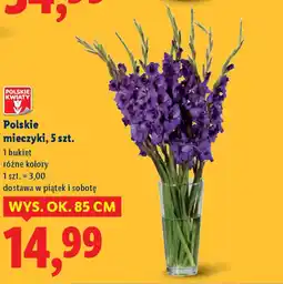 Lidl Polskie mieczyki oferta