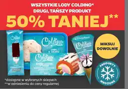 Netto Wszystkie lody coldino oferta