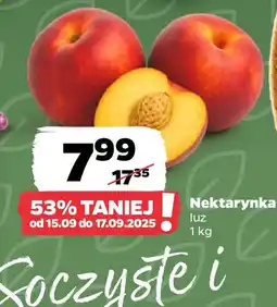 Netto Nektarynka oferta
