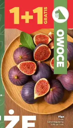 Netto Figa oferta