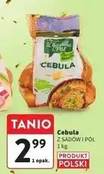 Intermarche Cebula Z Sadów I Pól oferta