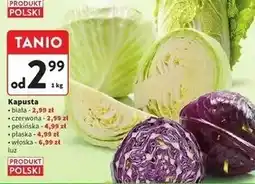 Intermarche Kapusta włoska oferta