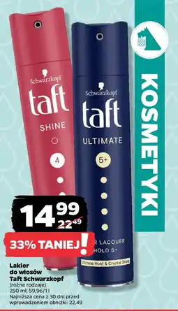 Netto Lakier do włosów Taft Schwarzkopf oferta