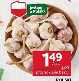 Stokrotka Czosnek polski Harnaś 1 szt. Stokrotka oferta
