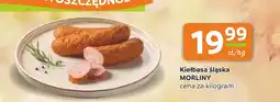 Gama Kiełbasa Morliny oferta