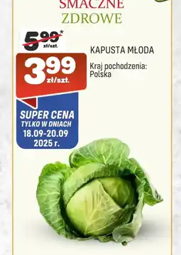 Społem Kapusta młoda oferta