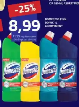 Hildebrandt Domestos płyn do wc asortyment oferta
